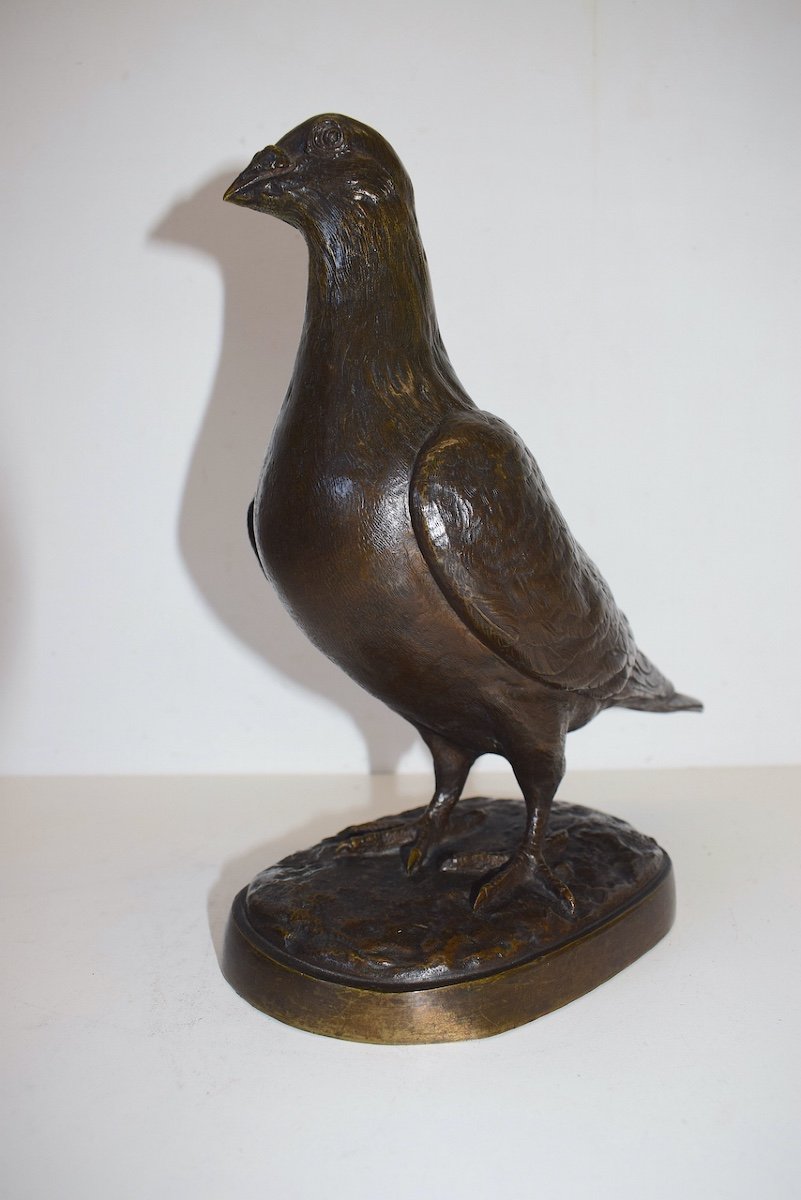 Albert Pierre LAPLANCHE XIX XX Animal Bronze Pigeon Bronze Bird Ref388-photo-3