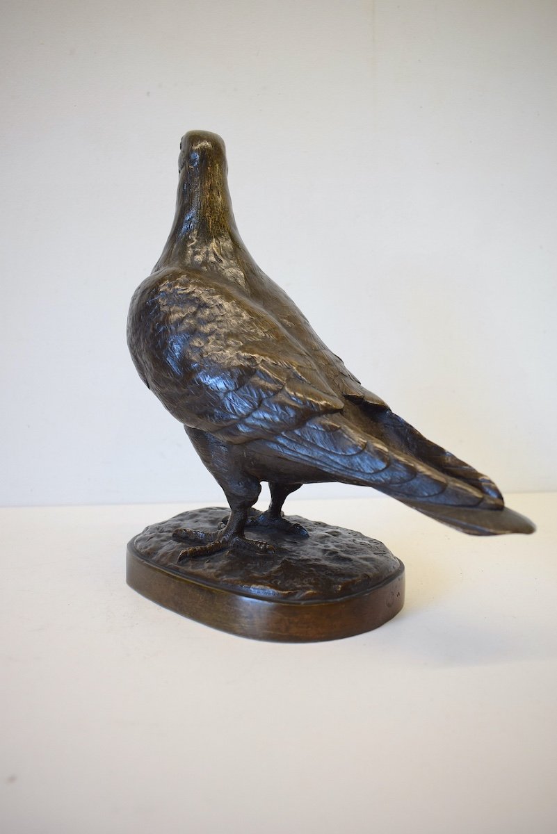 Albert Pierre LAPLANCHE XIX XX Animal Bronze Pigeon Bronze Bird Ref388-photo-1