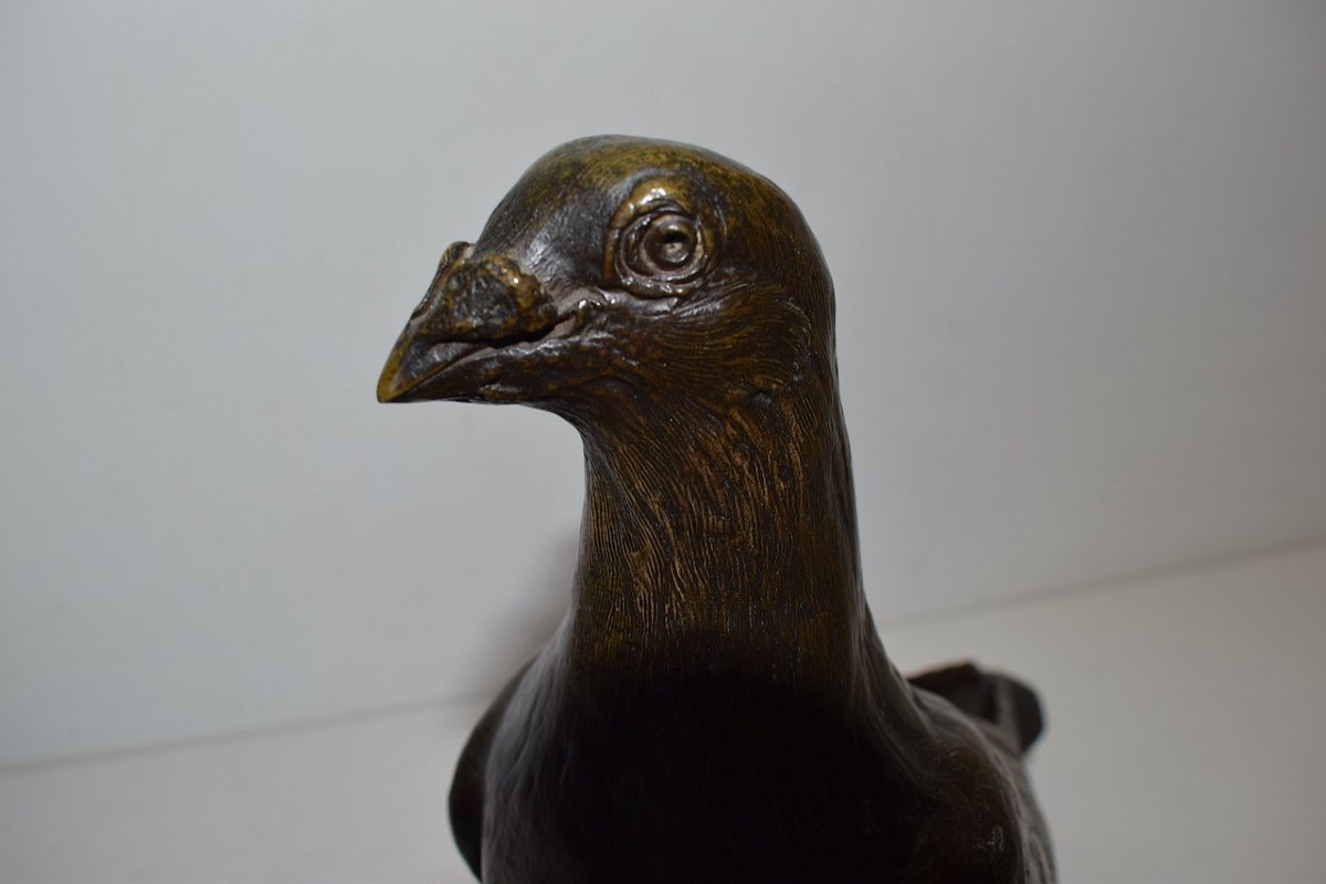 Albert Pierre LAPLANCHE XIX XX Animal Bronze Pigeon Bronze Bird Ref388-photo-4