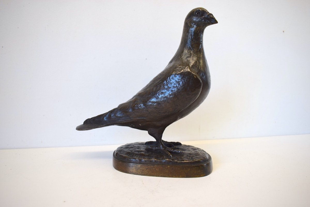 Albert Pierre LAPLANCHE XIX XX Animal Bronze Pigeon Bronze Bird Ref388