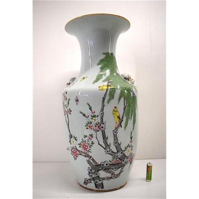 Vase Porcelaine de Chine Céladon Décor Oiseaux Insectes Arbre Fleuri Asie Chinois 1900 REF170