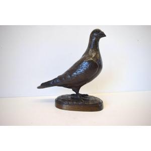 Albert Pierre LAPLANCHE XIX XX Animal Bronze Pigeon Bronze Bird Ref388