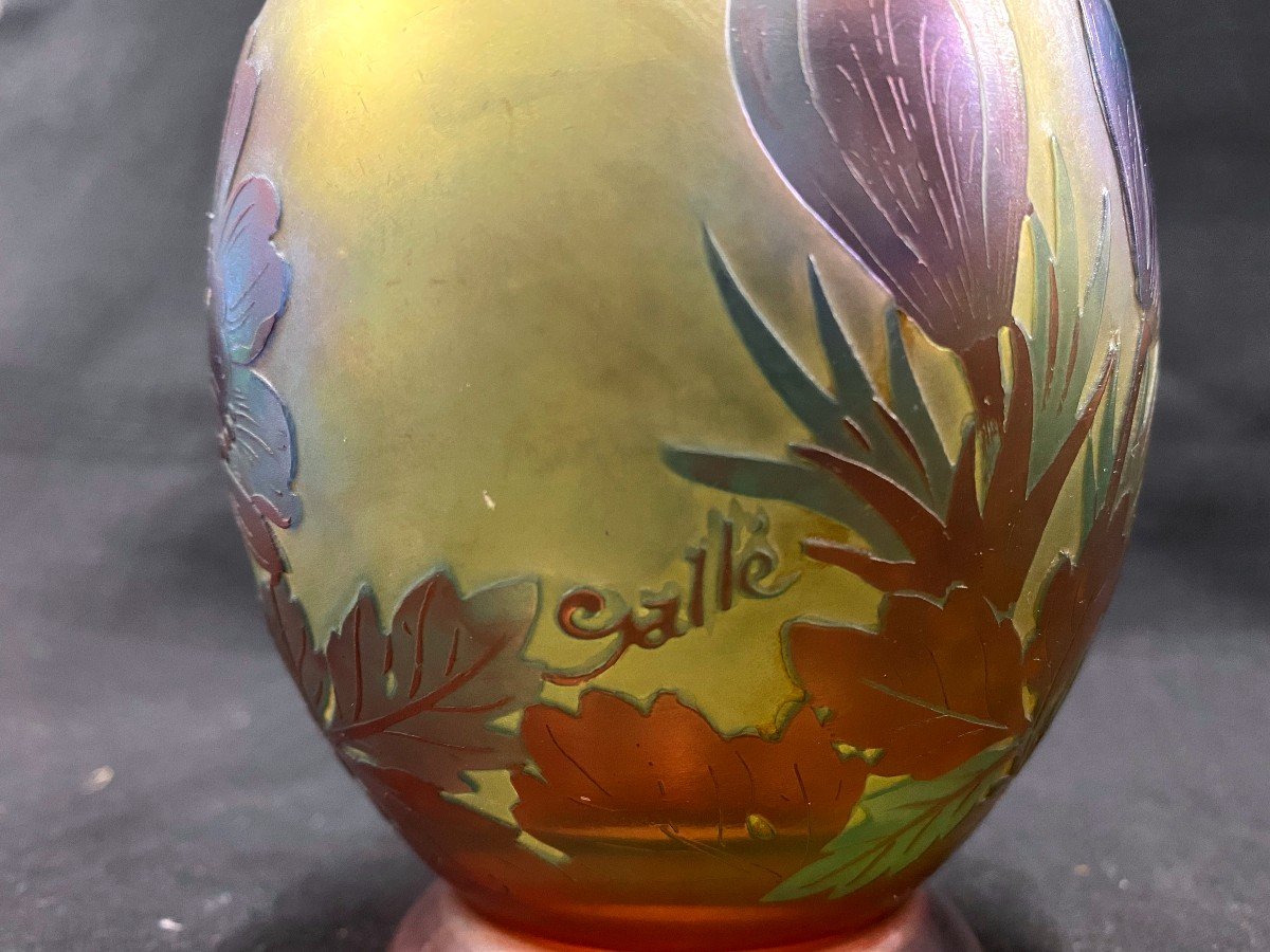 E. Gallé - Vase En Verre Multicouche Dégagé à l'Acide à Décor De Crocus - XX Ième - -photo-4