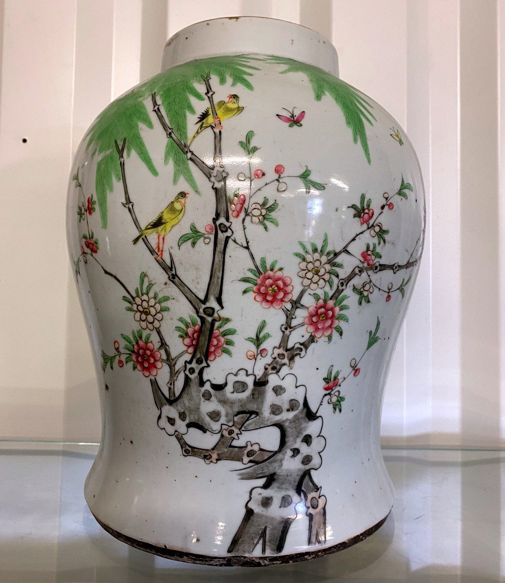 Chinese Pot With Birds - 19th-photo-4