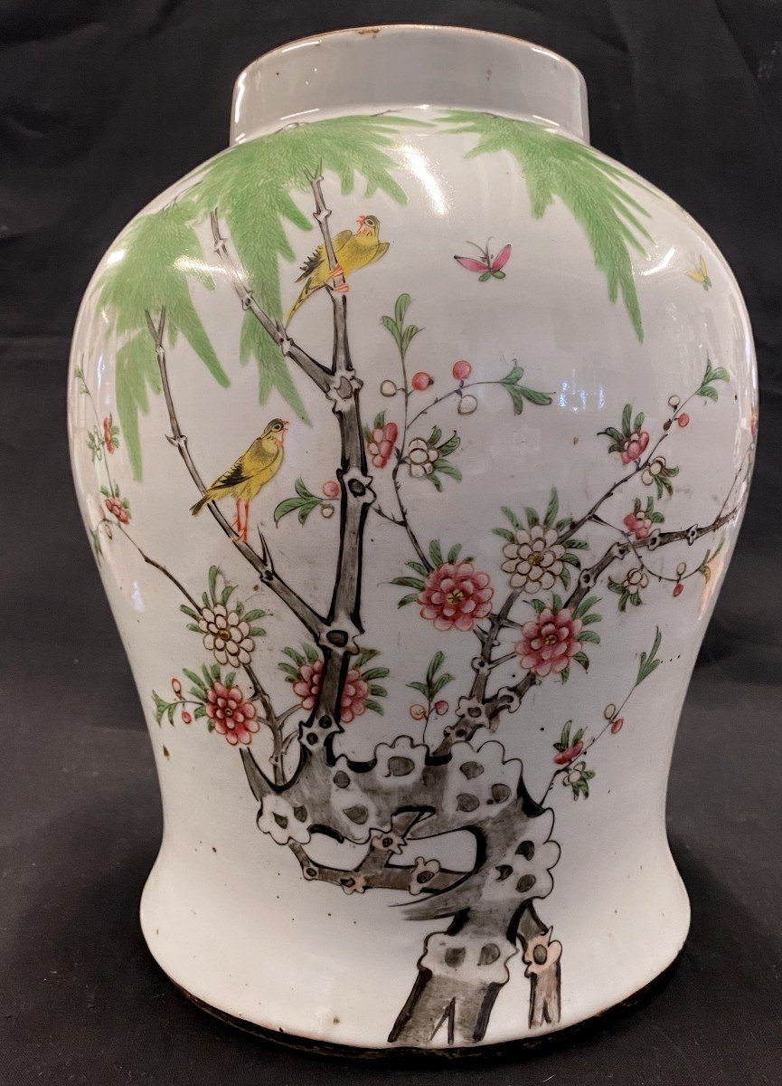 Chinese Pot With Birds - 19th