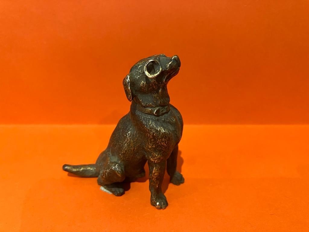 Bronze Dog With Glasses Statuette