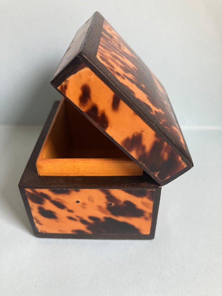 Tortoiseshell Box-photo-2