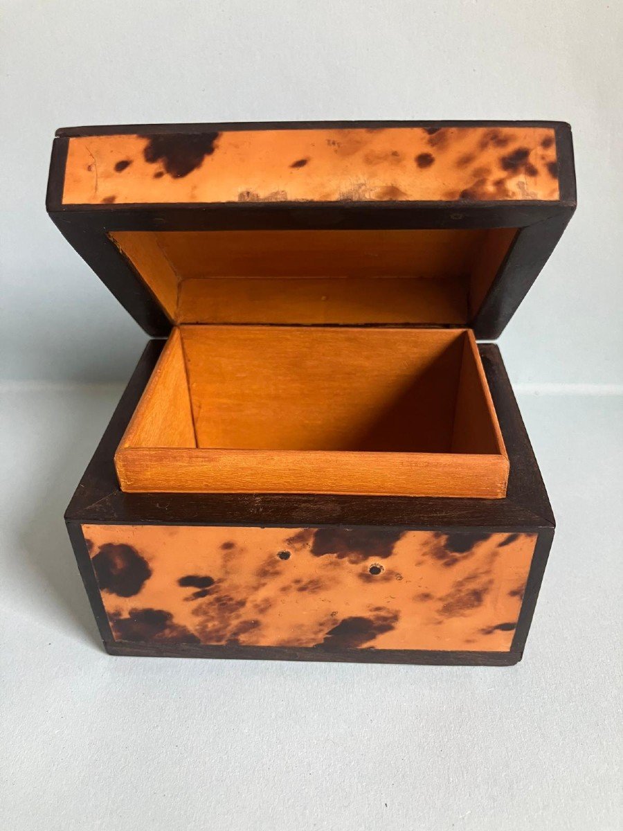 Tortoiseshell Box-photo-3