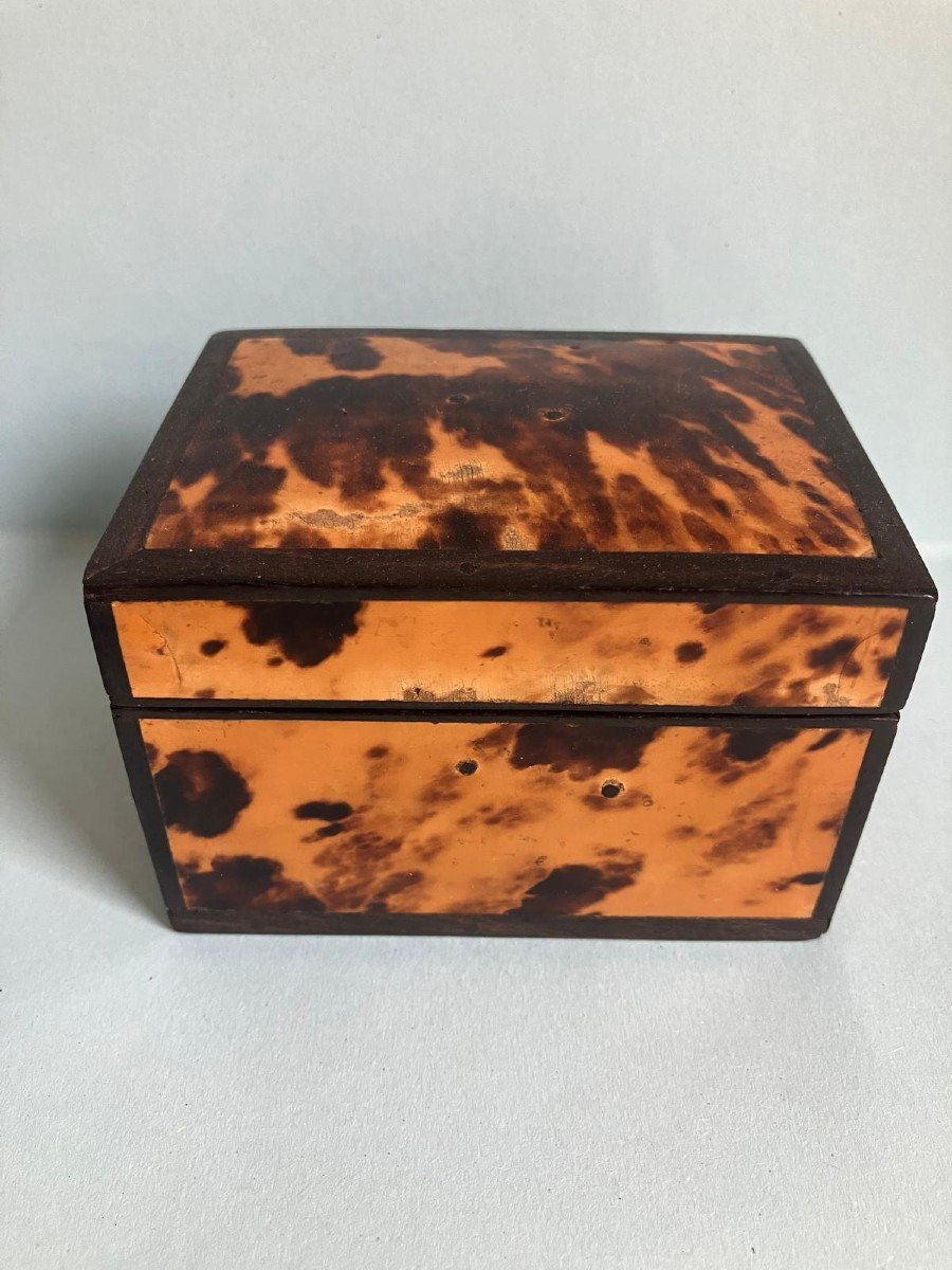 Tortoiseshell Box-photo-4