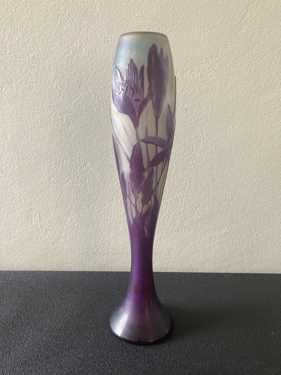 Vase Galilée Aux Crocus