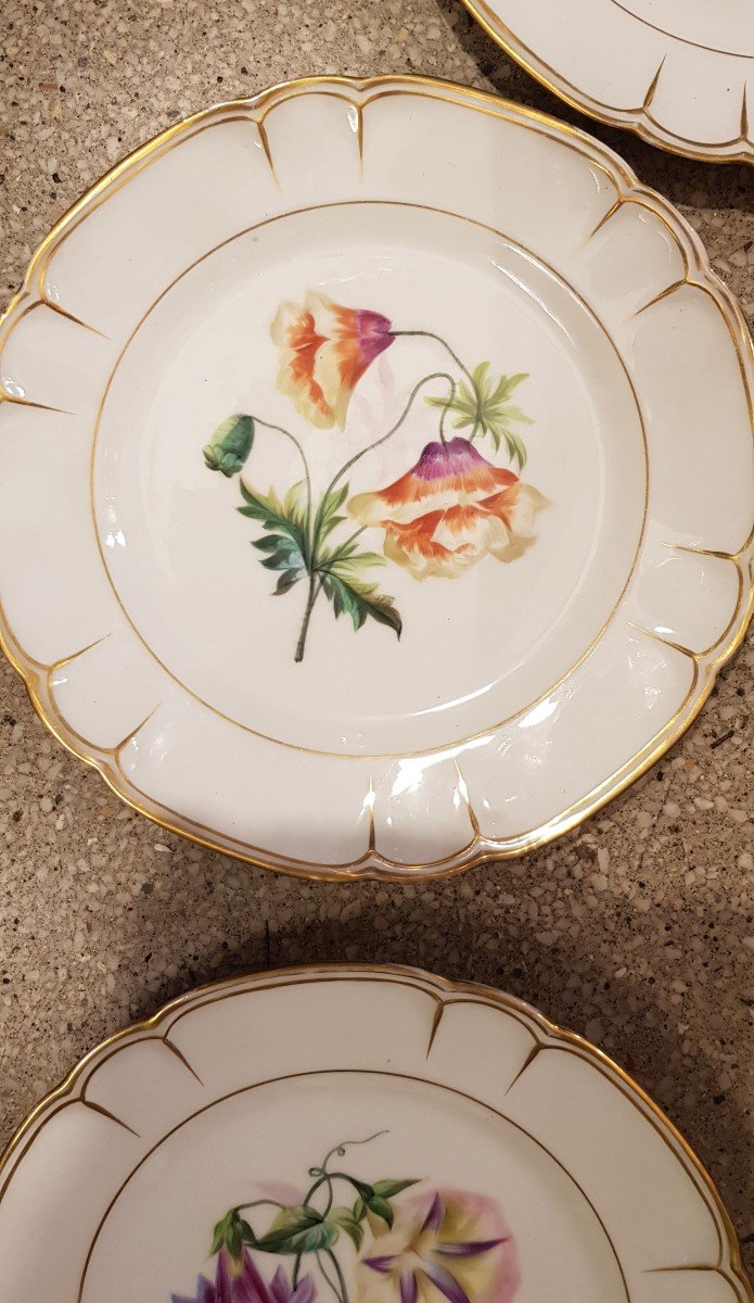 Set Of 7 Old Porcelain Plates Painted Flowers 21 Cm Diameter-photo-3