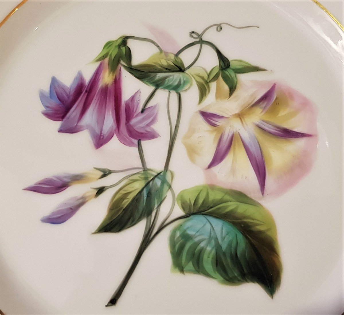 Set Of 7 Old Porcelain Plates Painted Flowers 21 Cm Diameter-photo-7