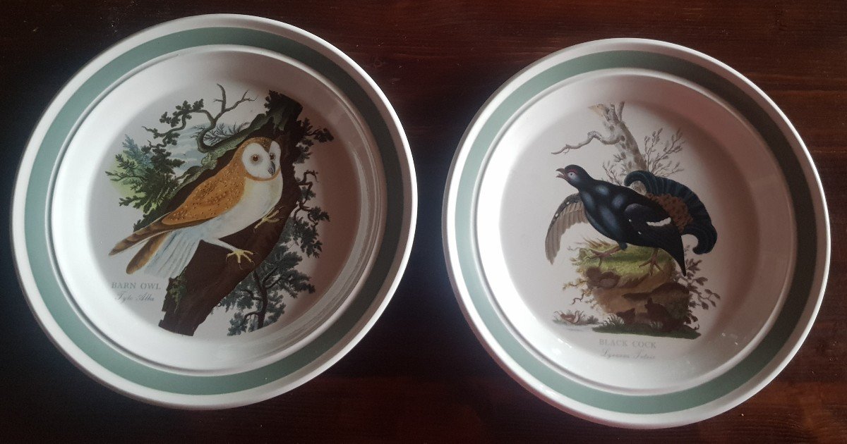 Deux Assiettes Anciennes Portmeirion Birds Of Britain E. Donovan Effraie Des Clochers Et Coq 