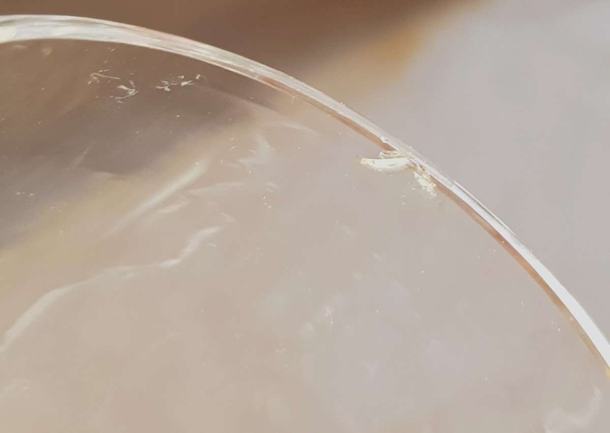 Serie De 6 Verres Anciens  à Vin Fortifié En Cristal Pied Caré Deuxième Moitié XIX ème Siècle-photo-8