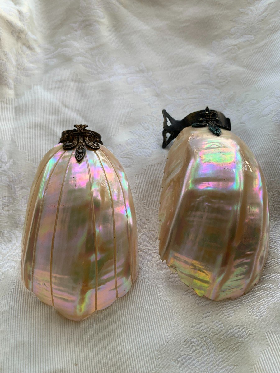 Pair Of Antique Nautilus Mother-of-pearl Lampshade 19th Century-photo-3