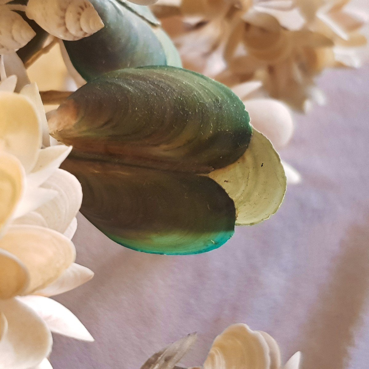 Pair Of Silver-plated Metal Baskets With Shell Flower Arrangement-photo-3