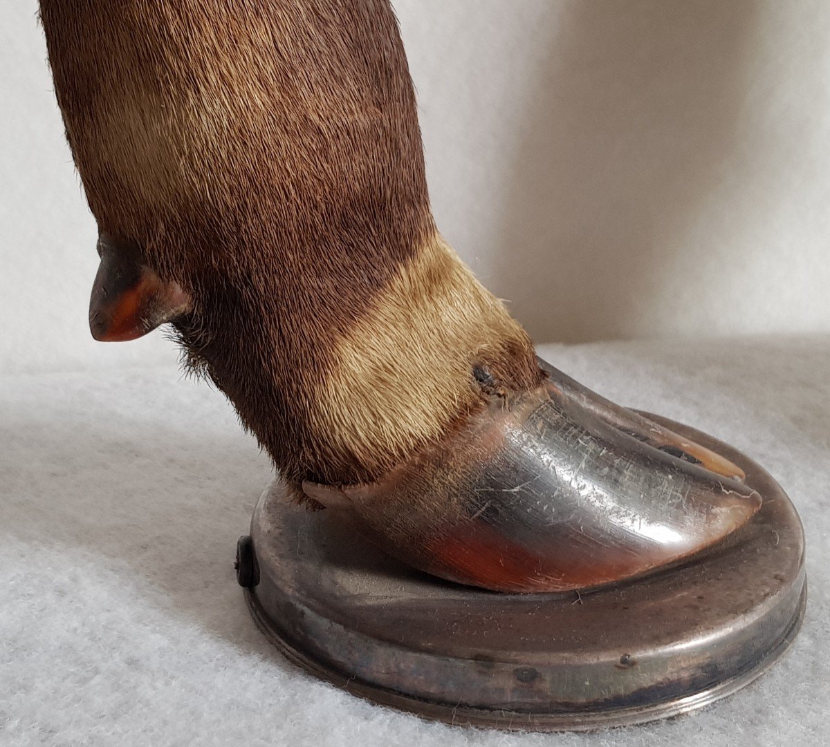 Pair Of Old Taxidermy Lamp Bases With Deer Legs And Solid Silver-photo-3