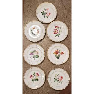 Set Of 7 Old Porcelain Plates Painted Flowers 21 Cm Diameter