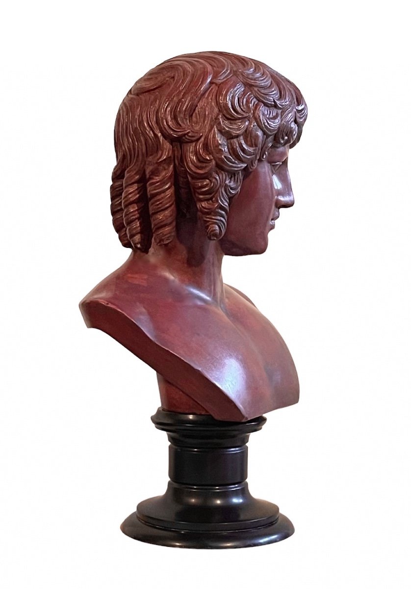 A Scagliola Bust Of Antinous Braschi. After The Antique. Late 19th Century.-photo-4