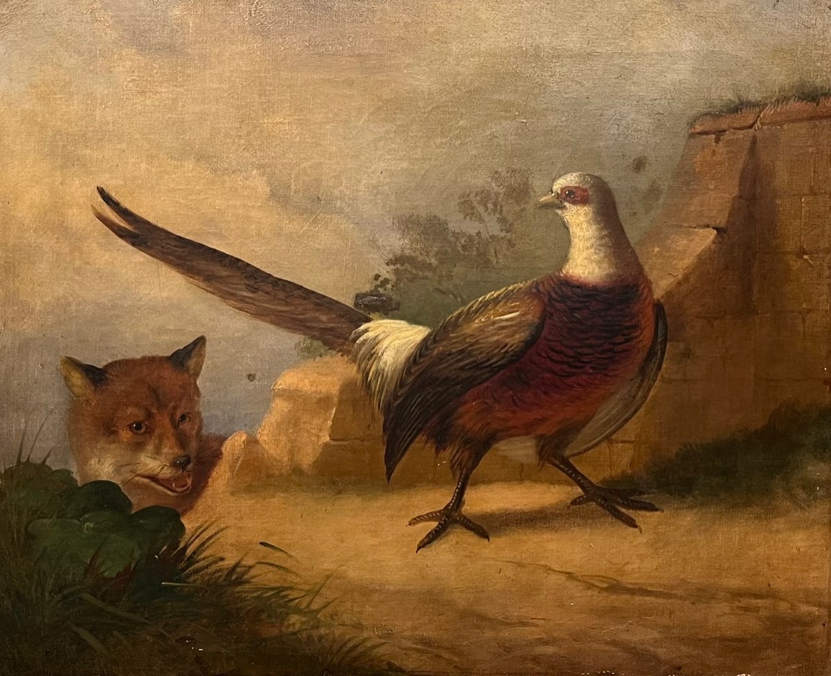 Late 18th Century School Pheasant And Fox Oil On Canvas Old Painting-photo-2