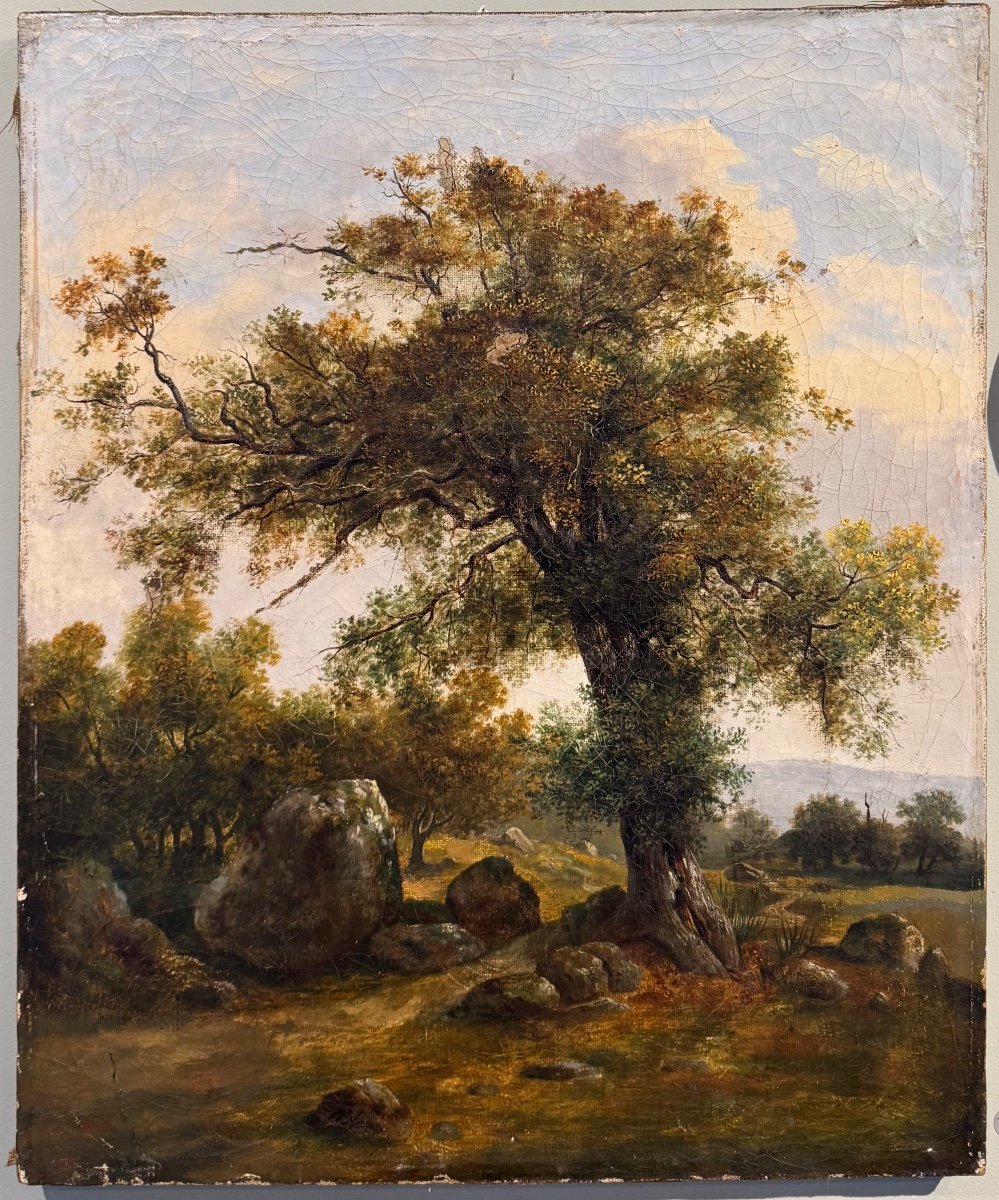 École Française XIX Forêt Arbre Huile Sur Toile Tableau Ancien -photo-2