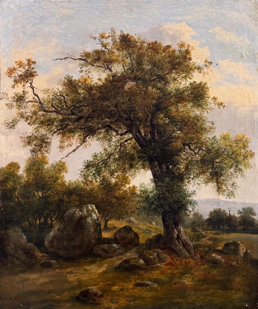 École Française XIX Forêt Arbre Huile Sur Toile Tableau Ancien 