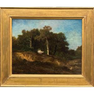 Auguste Anastasi (1820-1889) Fontainebleau Landscape Oil On Canvas Barbizon School