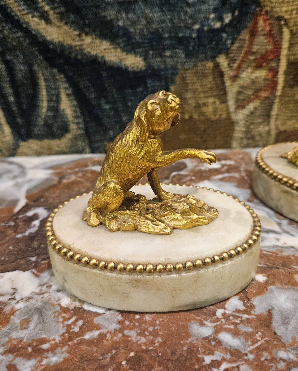 Pair Of Louis XVI And XVIII Century Gilt Bronze Paperweights-photo-5