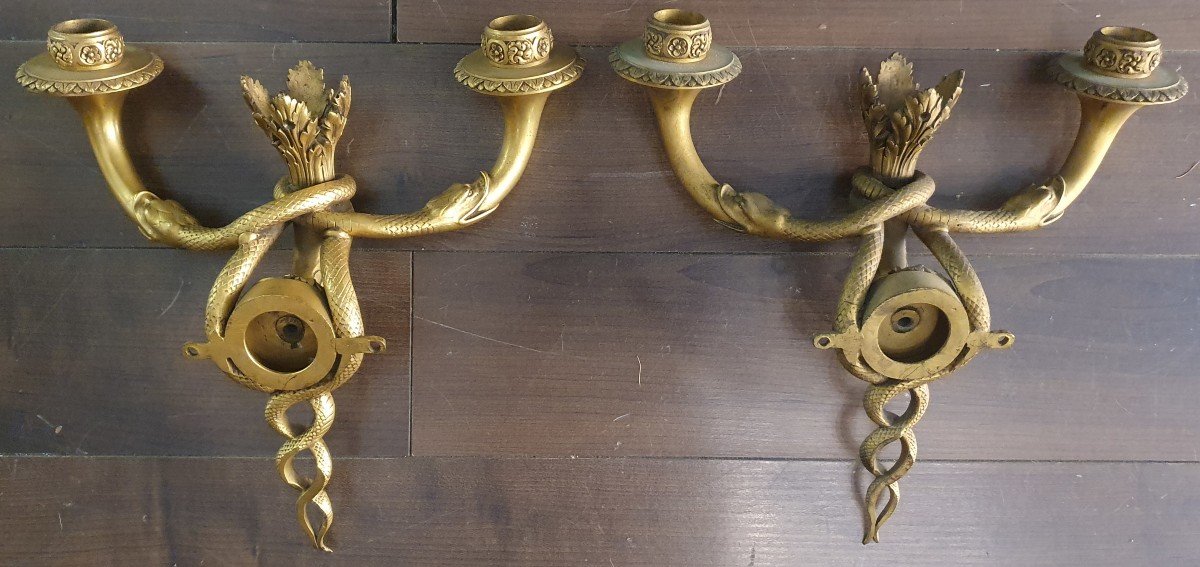 Pair Of Snake Sconces In Gilt Bronze Late 19th Century-photo-4