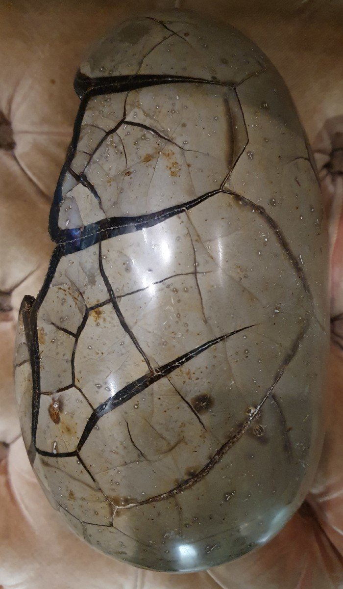Objet Du Curiosité - Naturalia - Wild Septaria Stone-photo-1