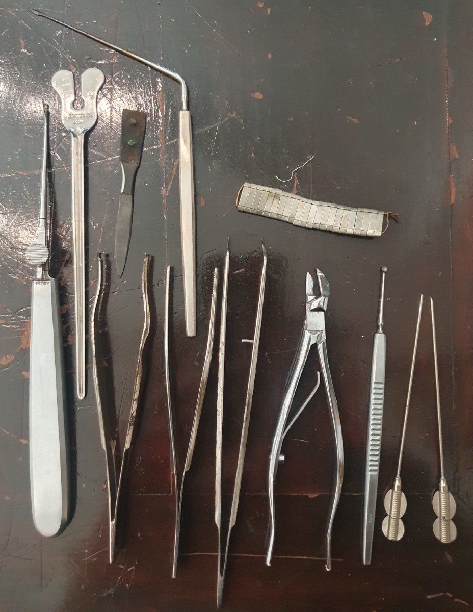 Cabinet Of Curiosities: Stainless Steel Medical Instruments-photo-1