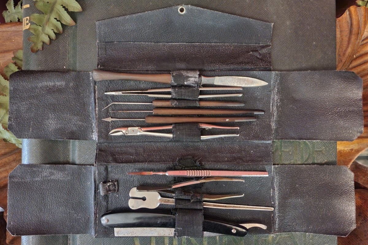 Objet De Curiosité Scientifique : Trousse De Dissection De Chirurgien De Campagne