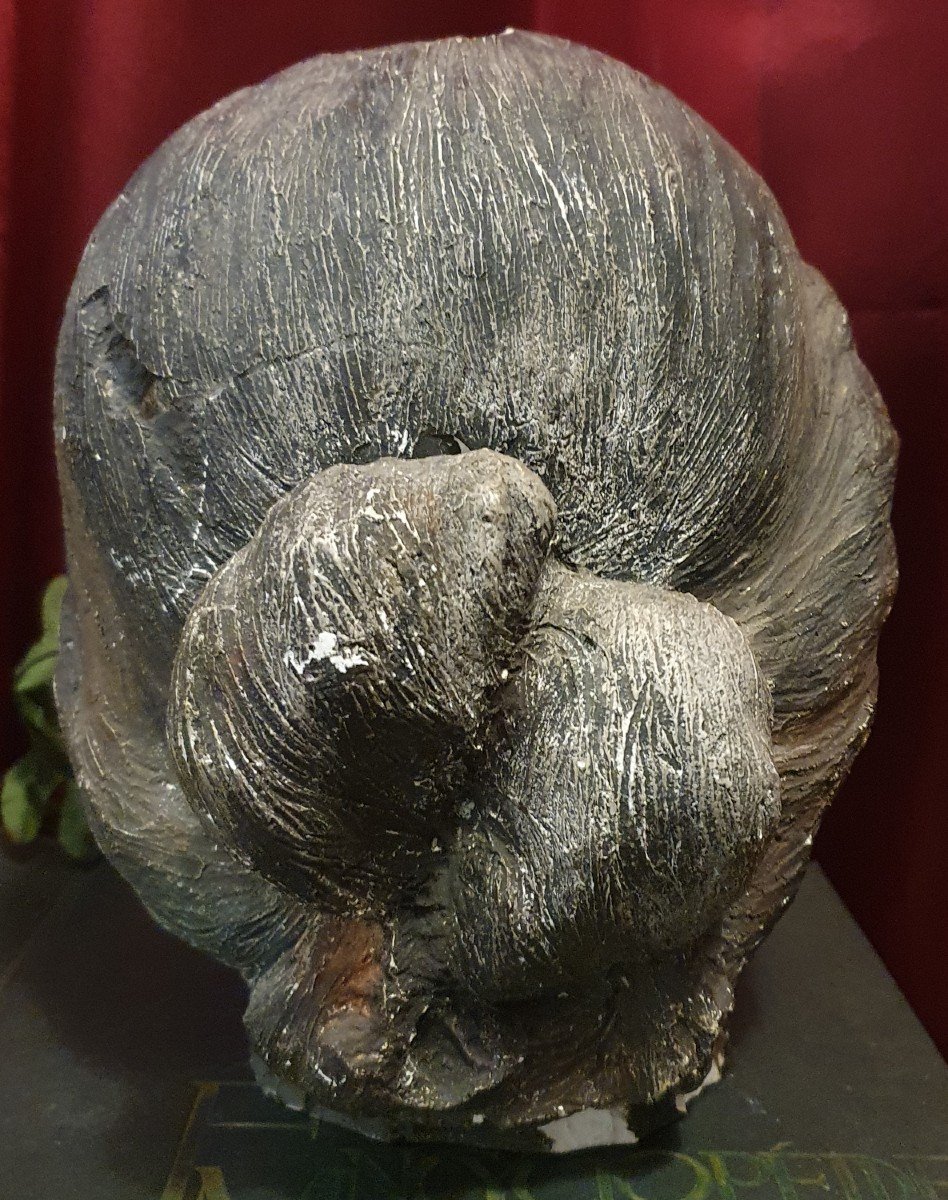 Sculpture Of A Woman's Head In Plaster With Brown Patina-photo-3