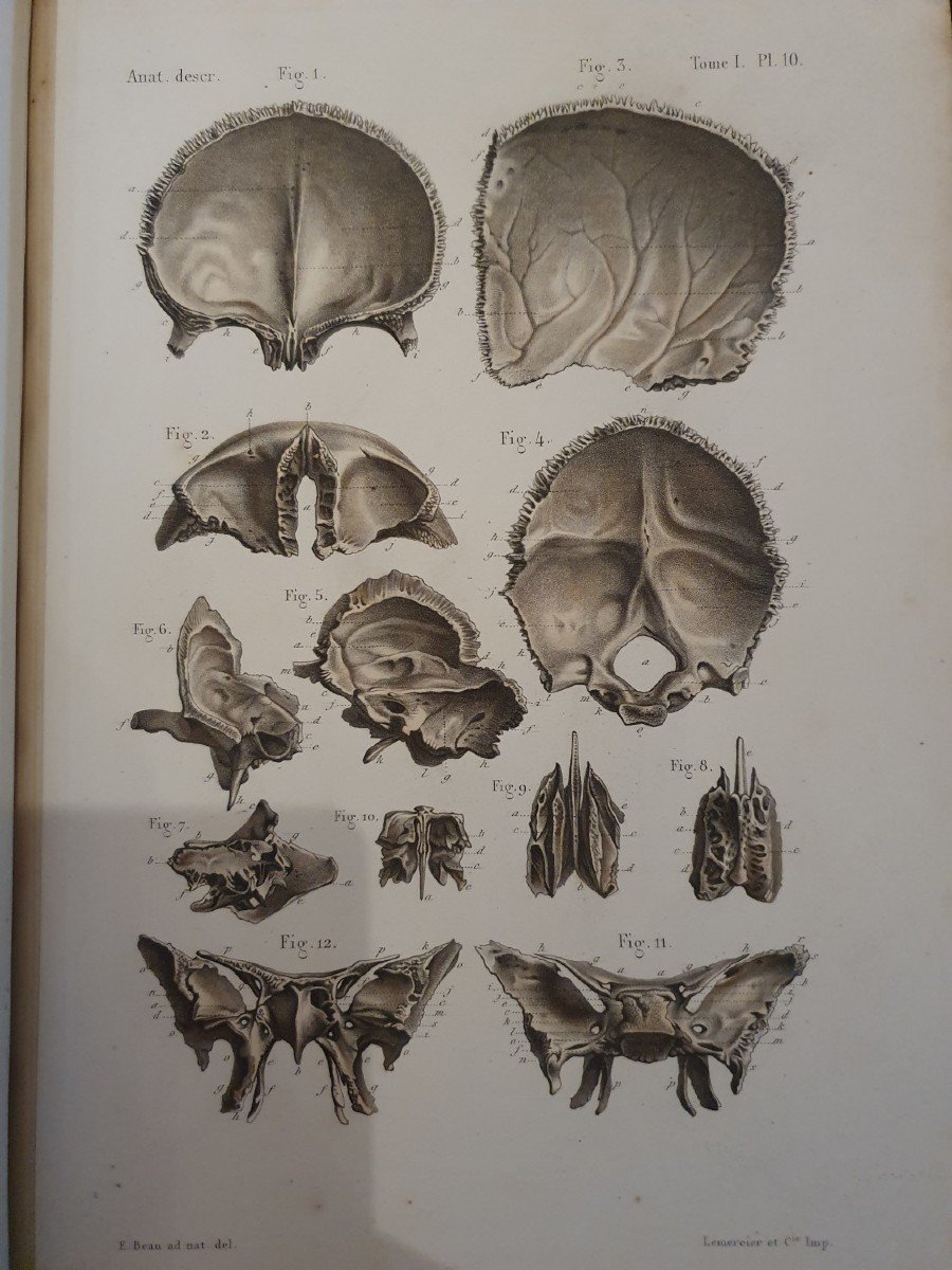 4 Atlas d'Anatomie Descriptive Du Corps Humain Par Les Docteurs : C. Bonamy, Paul Broca-photo-4