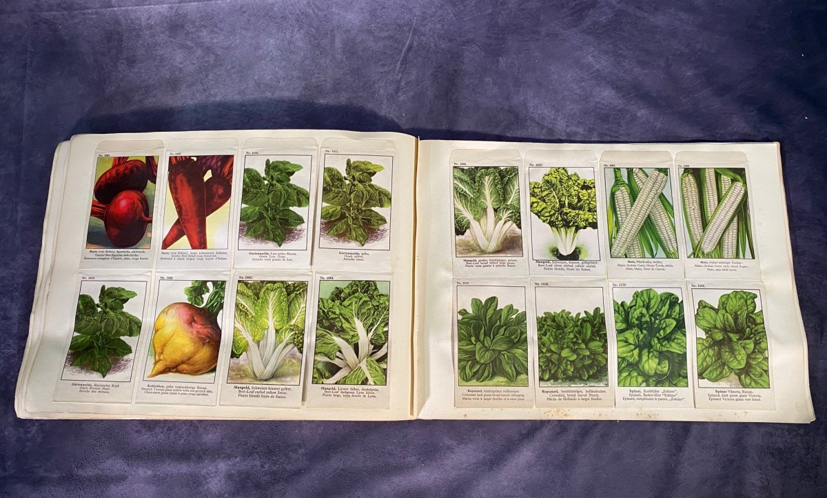 Large German Catalog Of Seeds For Flowers And Vegetables --photo-3