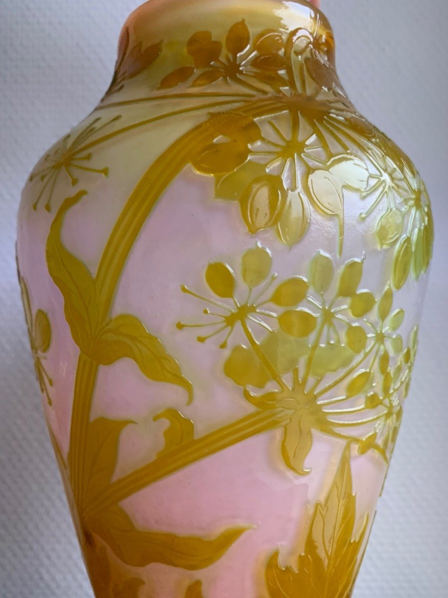 Gallé, Vase Decorated With Fire-polished Umbellifera.-photo-1