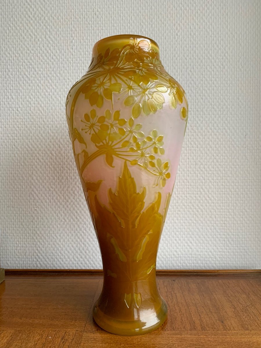 Gallé, Vase Decorated With Fire-polished Umbellifera.