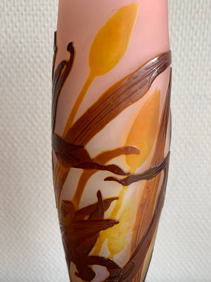 Gallé, Vase Decorated With Tulips-photo-5