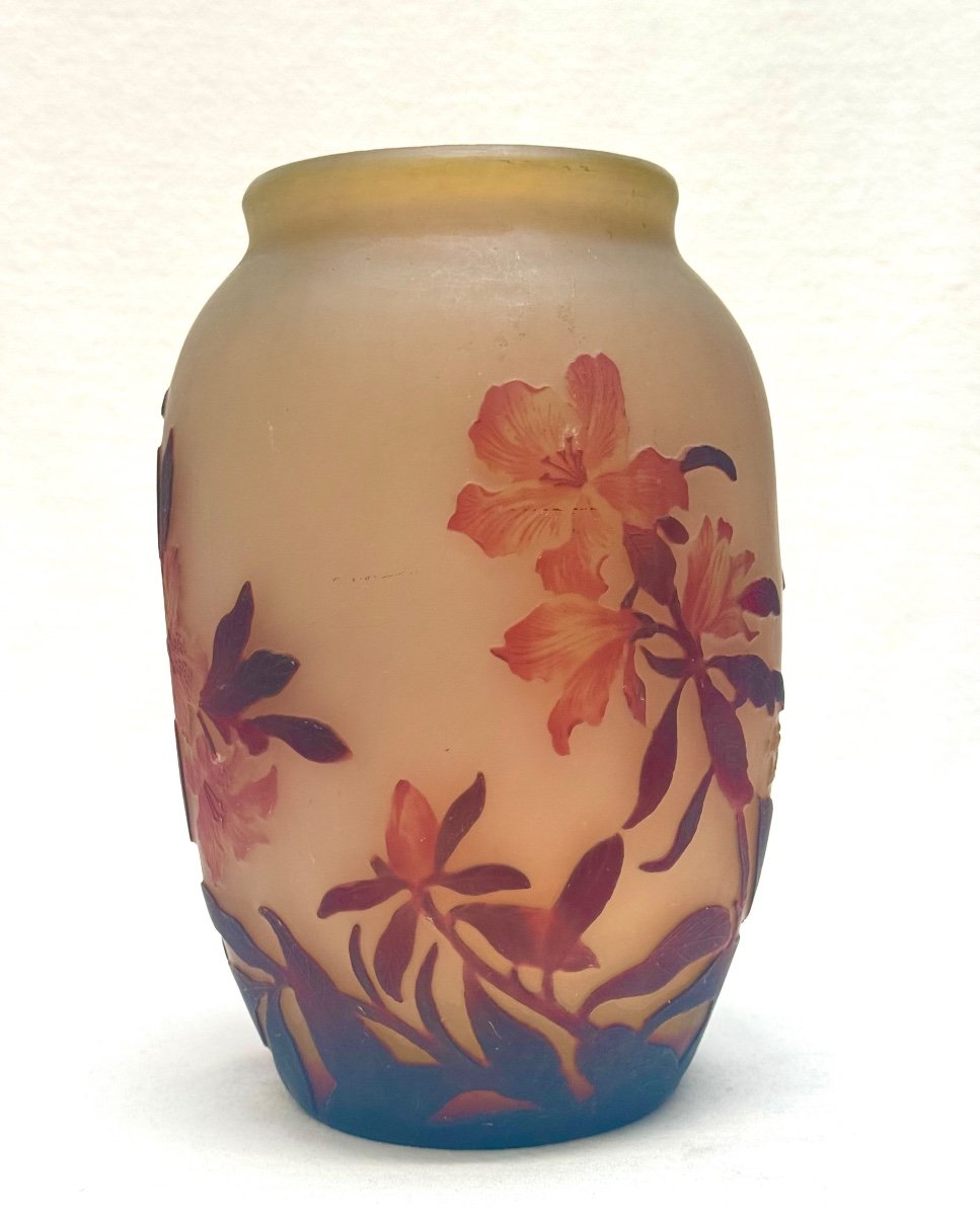 Muller Frères Lunéville - Vase With Azalea Decor-photo-2