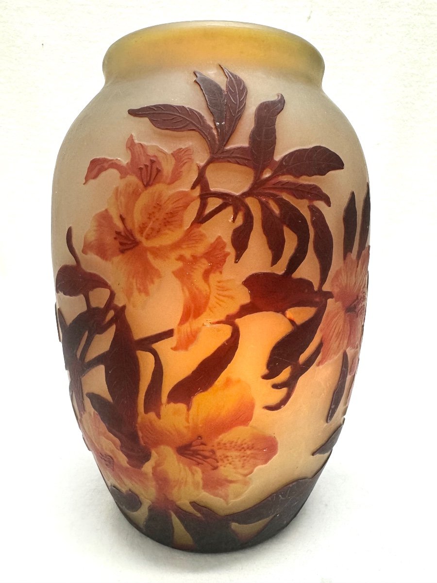 Muller Frères Lunéville - Vase With Azalea Decor