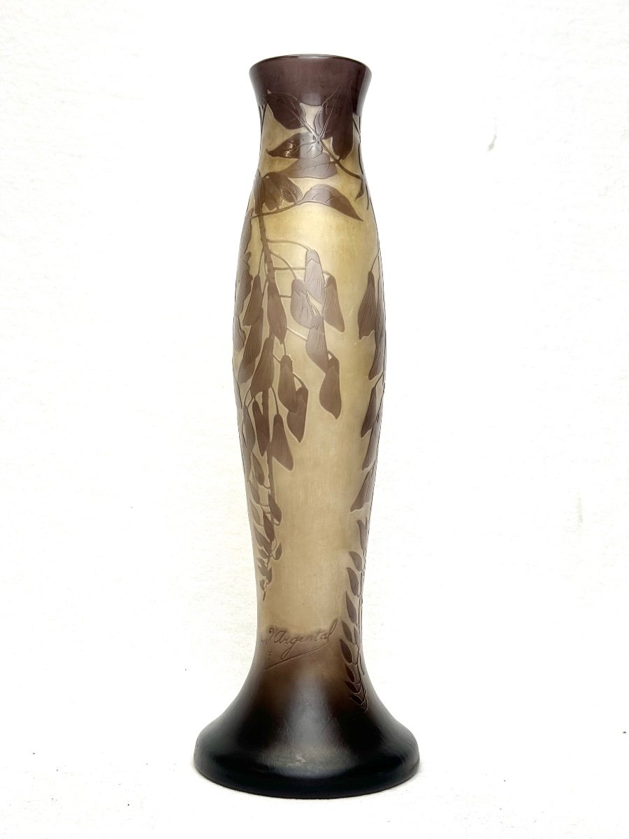Paul Nicolas d'Argental - Vase Decorated With Wisteria-photo-2