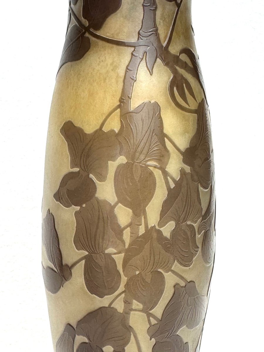 Paul Nicolas d'Argental - Vase Decorated With Wisteria-photo-6