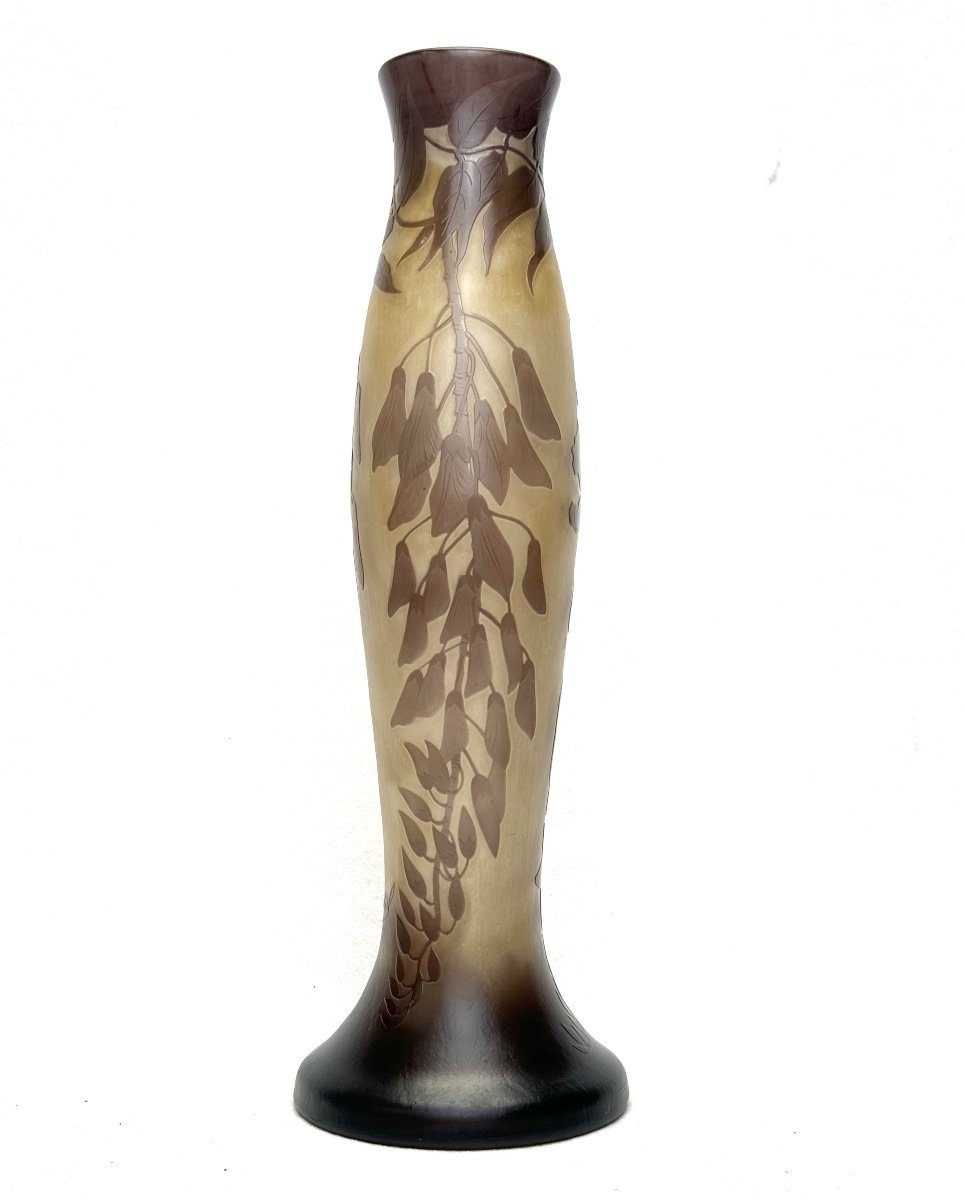 Paul Nicolas d'Argental - Vase Decorated With Wisteria-photo-8