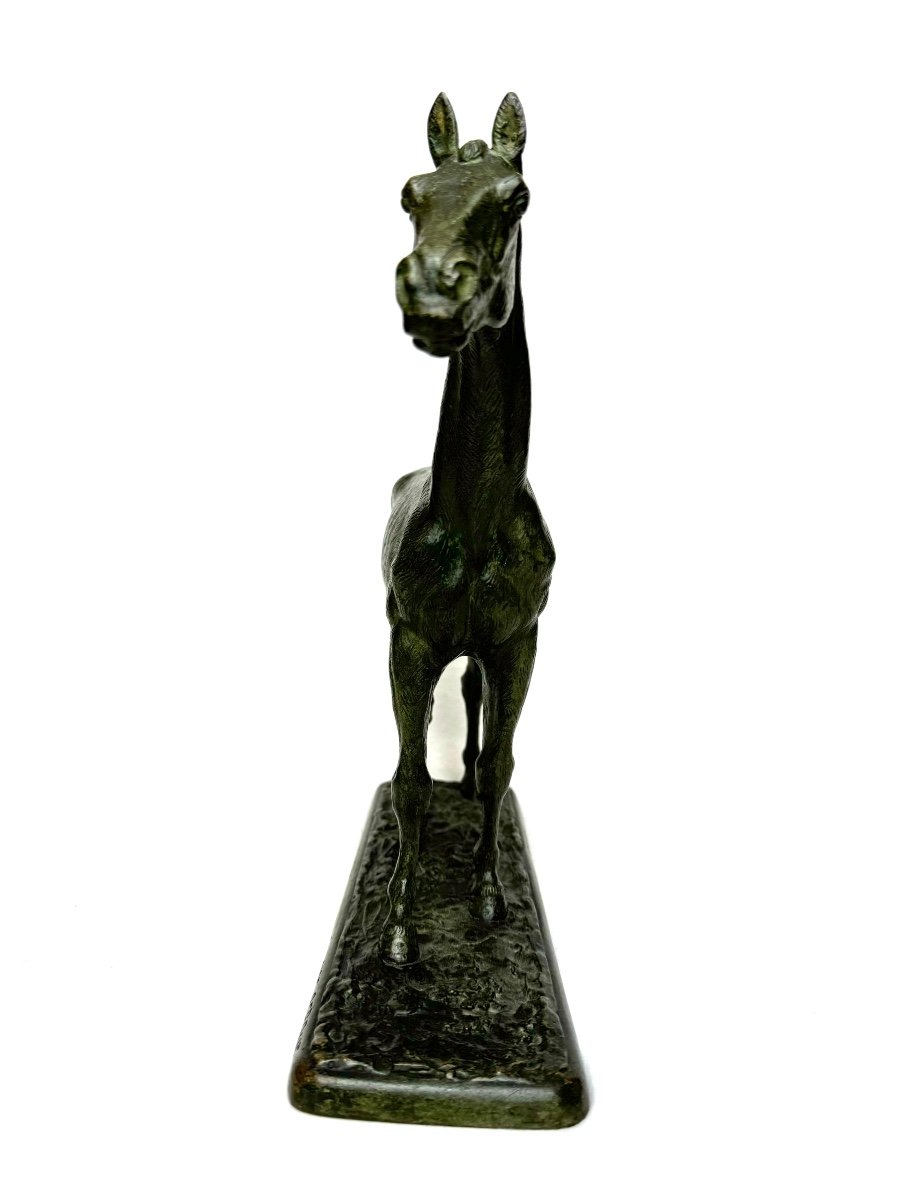 Fratin - “felix” Horse Bronze Proof -photo-3
