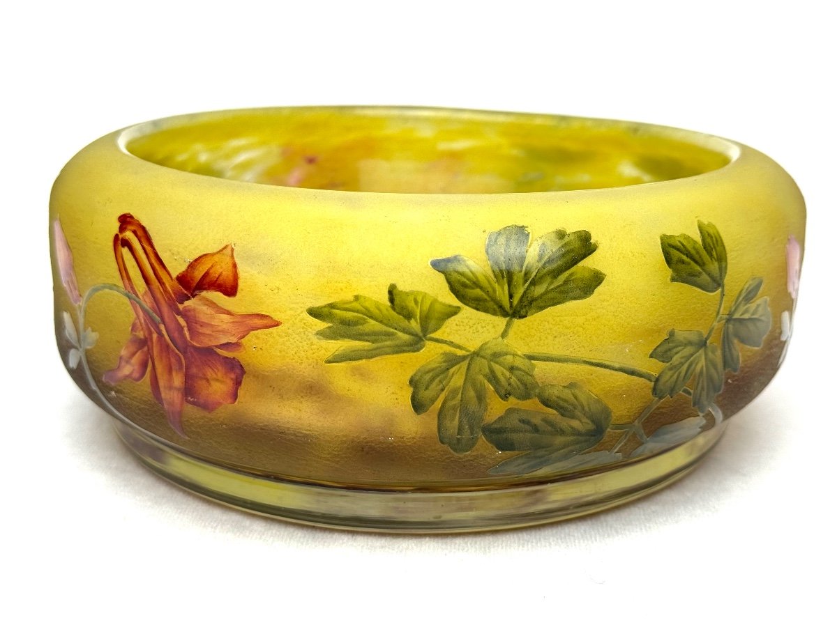 Daum Nancy, Cup Decorated With Columbines. -photo-4