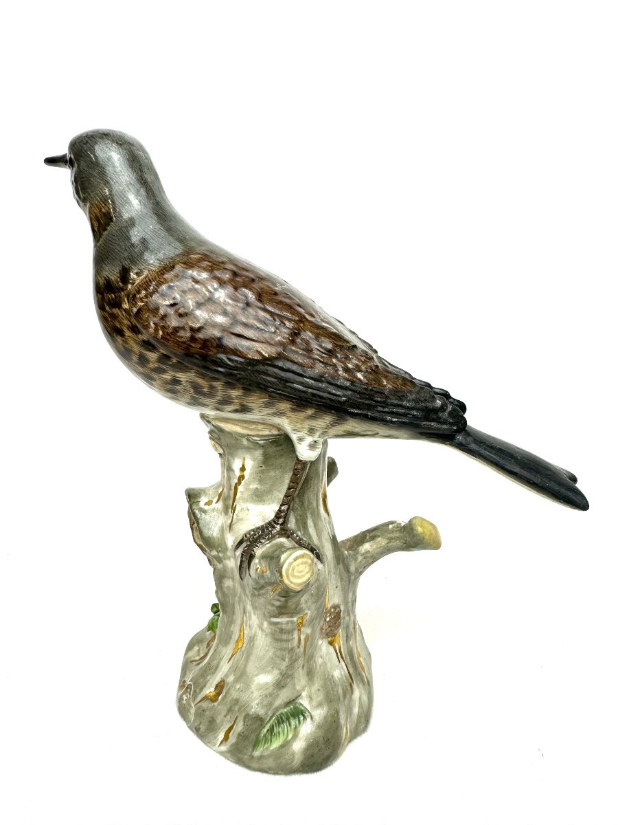 Meissen - Porcelain Figure Of A Turdidae-photo-3