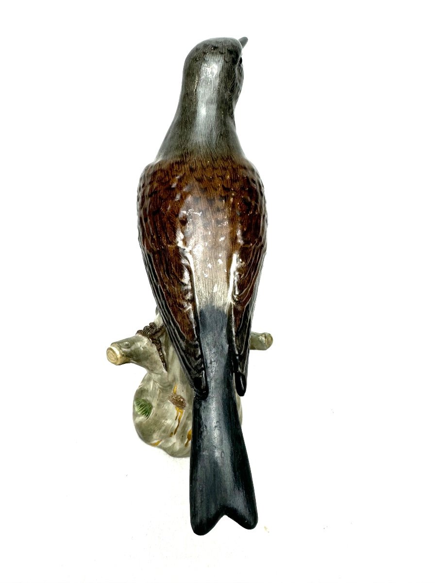 Meissen - Porcelain Figure Of A Turdidae-photo-4