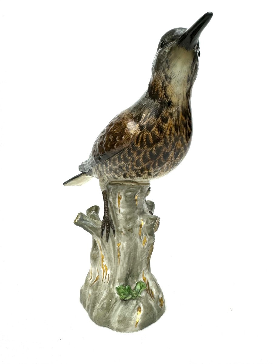 Meissen - Porcelain Figure Of A Turdidae-photo-4