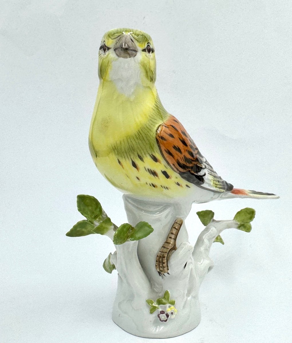 Meissen - Porcelain Figure Of A Gold Hammer Bird-photo-2