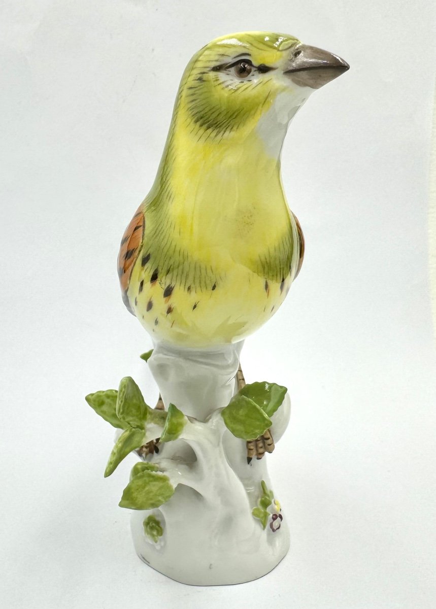 Meissen - Porcelain Figure Of A Gold Hammer Bird-photo-3